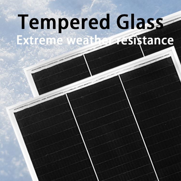 Iav Solar Module